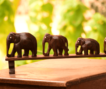 Elephant Family 4 Nos Walking in Line