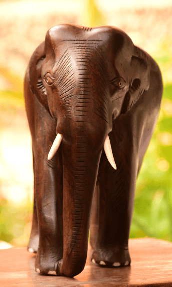 Elephant 6" Made in Rosewood